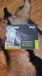 IMG_20251005_033907_574.jpg